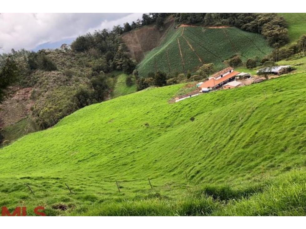 Lote Residencial en venta en Pantanillo, La Ceja — foto 3