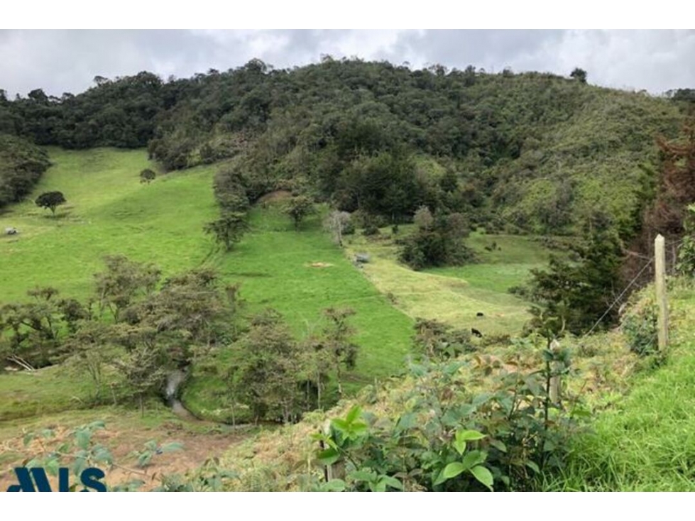 Lote Residencial en venta en Pantanillo, La Ceja — foto 6