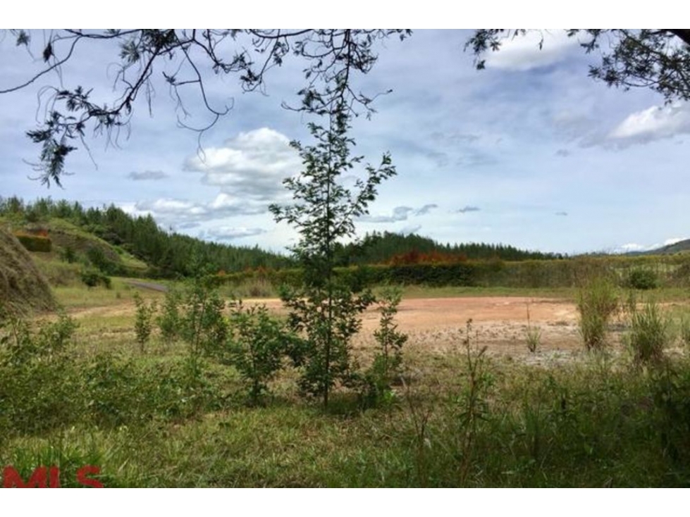 Lote Residencial en venta en Puro Cuero, El Retiro