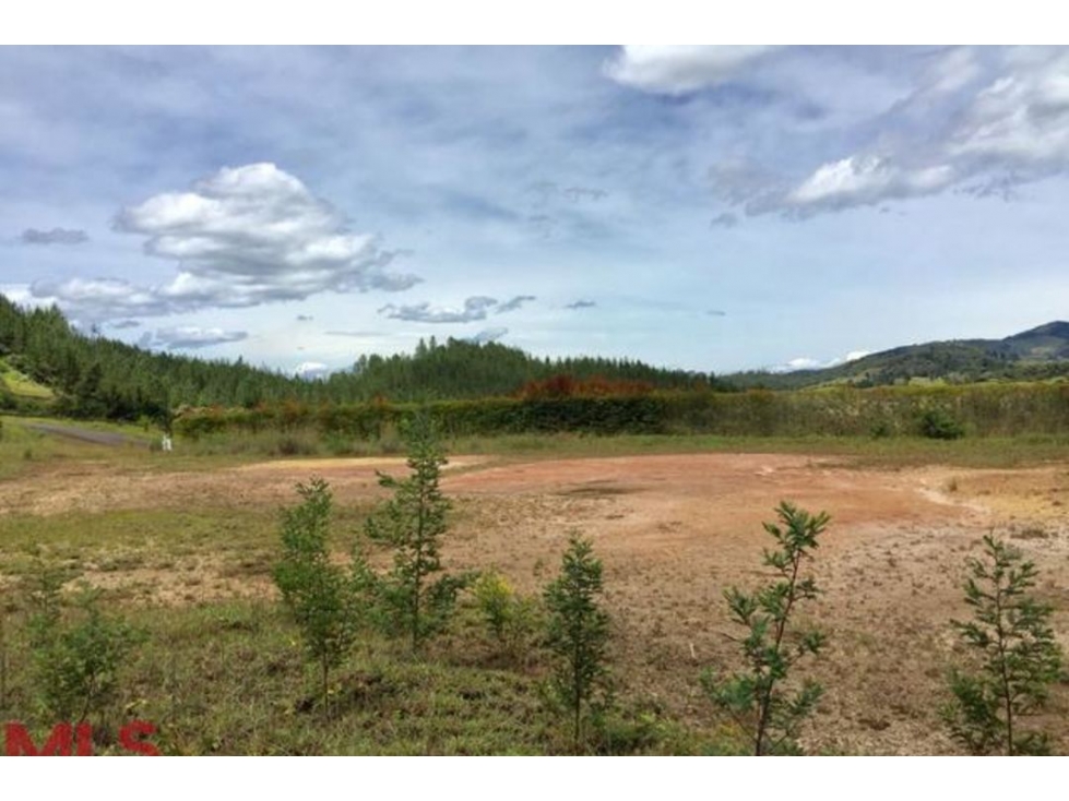 Lote Residencial en venta en Puro Cuero, El Retiro — foto 5
