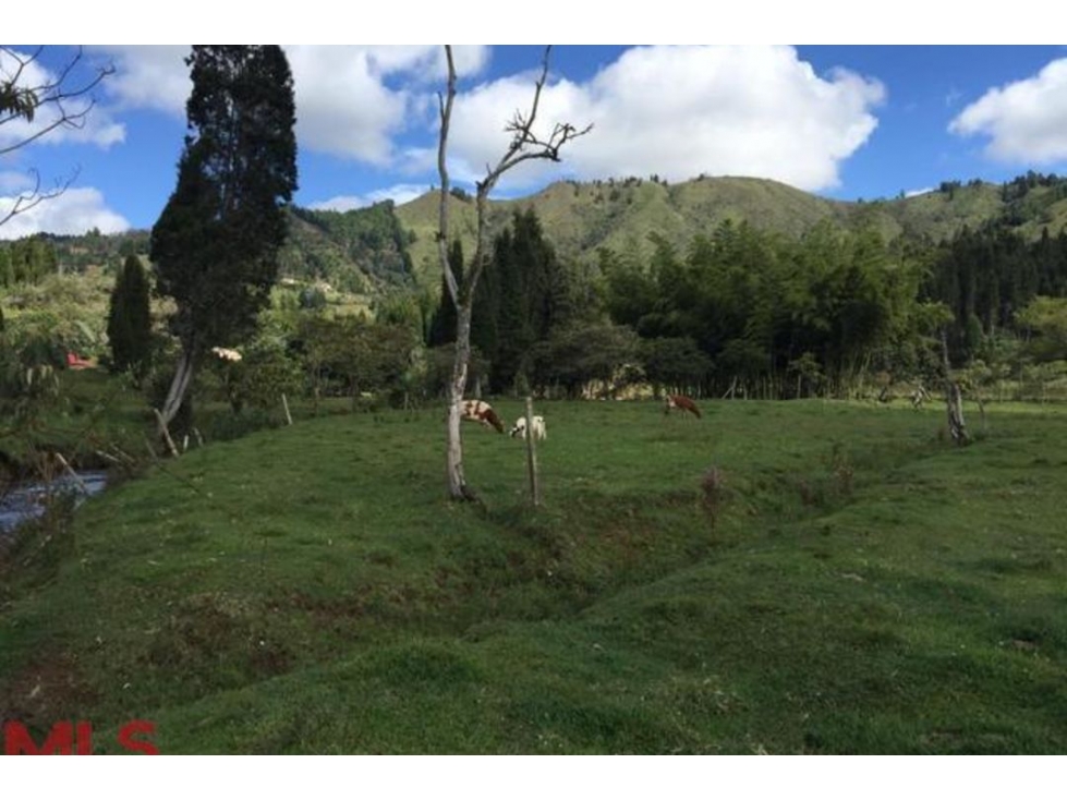 Lote Residencial en venta en V. La Honda, Guarne