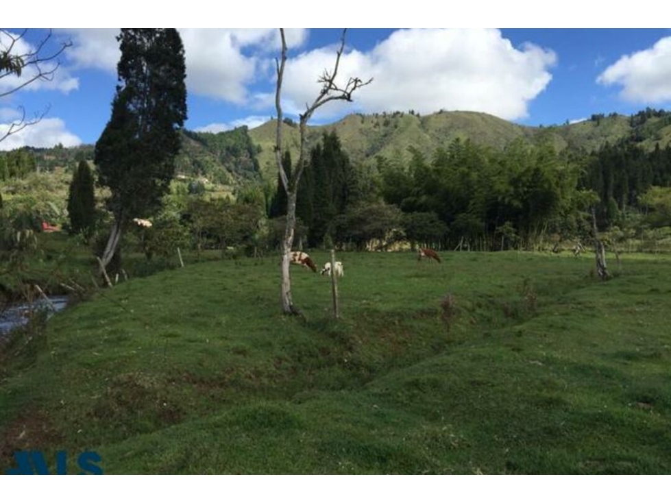 Lote Residencial en venta en V. La Honda, Guarne — foto 2