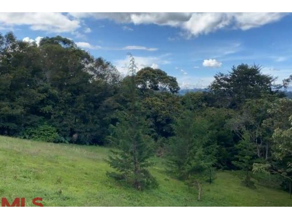 Lote Residencial en venta en V. El Capiro (Rionegro), Rionegro — foto 5
