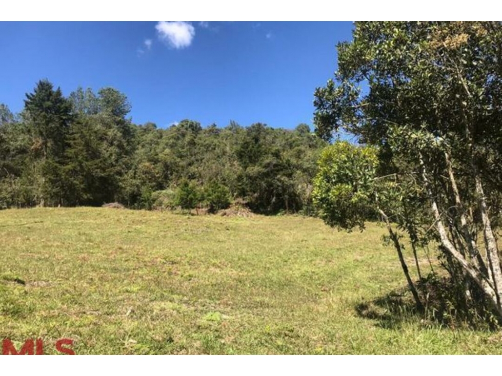 Lote Residencial en venta en V. Pantanillo (envigado), Envigado — foto 5