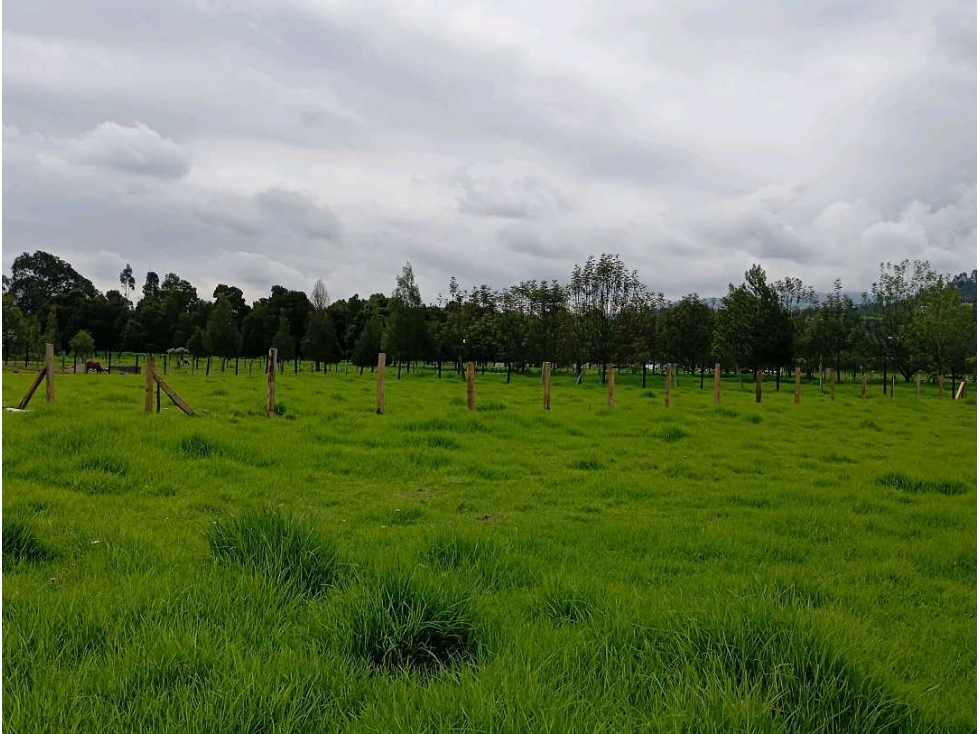 LOTE SE VENDE EN PAIPA BOYACA - 6