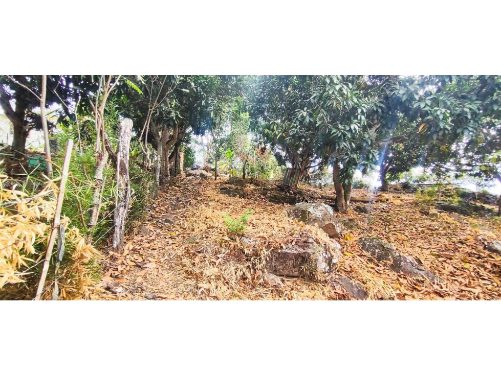 Lote rural de 716 M2 en 155 mill negociables en La Mesa Cund