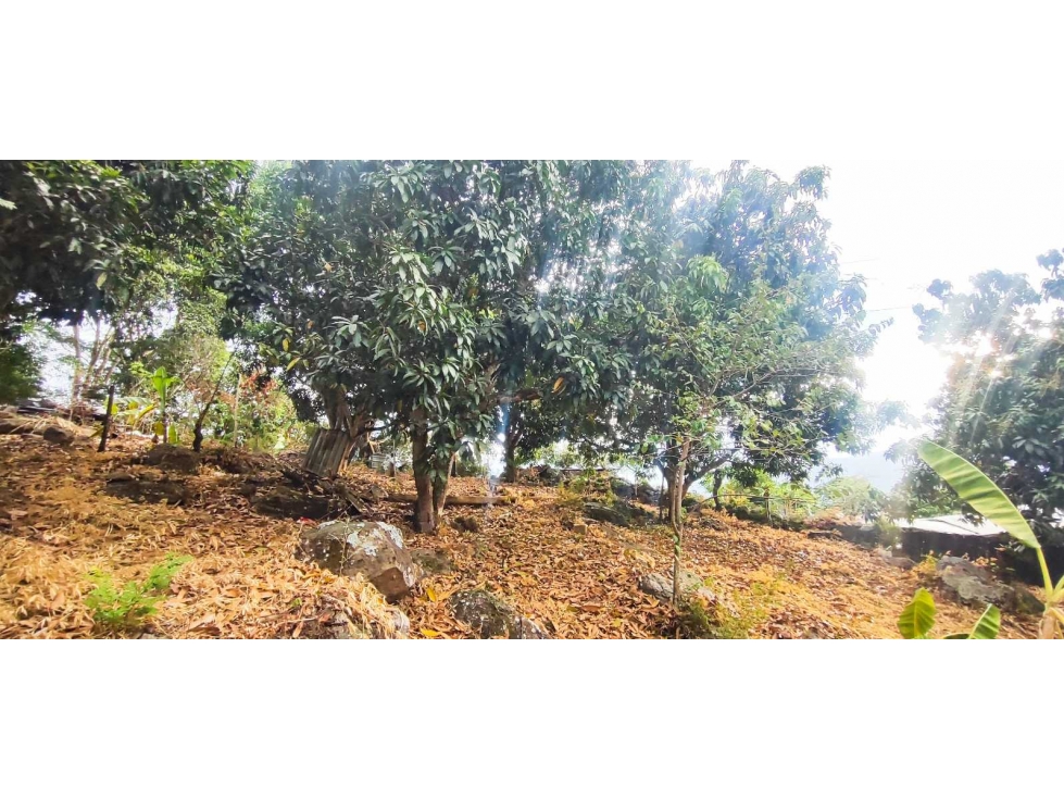 Lote rural de 716 M2 en 155 mill negociables en La Mesa Cund — foto 2