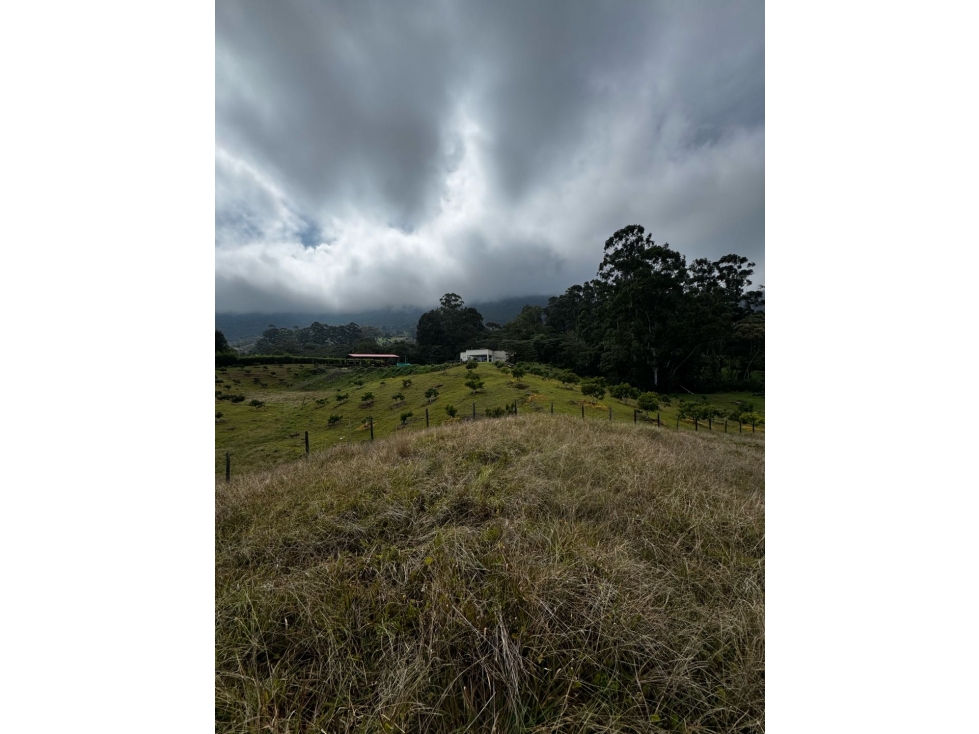 Lote rural en La Ceja a 10 minutos de la zona urbana - 4
