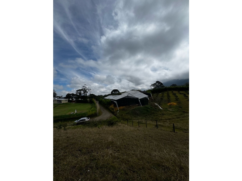 Lote rural en La Ceja a 10 minutos de la zona urbana - 5