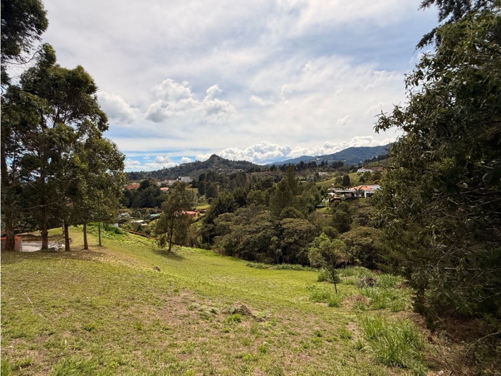 Lote Sajonia
