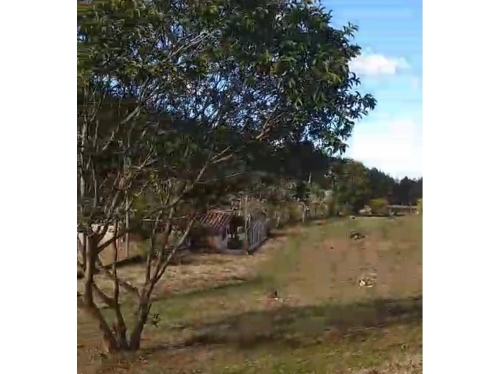 Lote Sajonia Rionegro a 3 min del tunel — foto 2