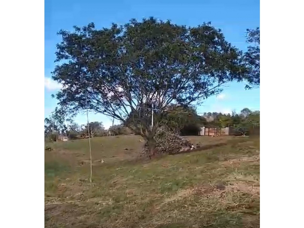 Lote Sajonia Rionegro a 3 min del tunel — foto 4