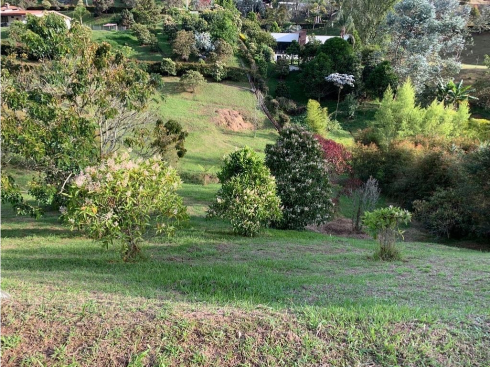 Lote San Antonio 3.342 m² en venta $690 millones — foto 5