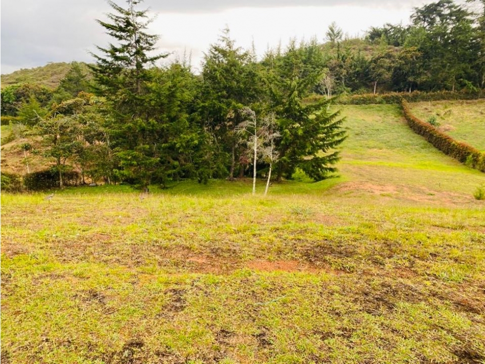 Lote | San Antonio, La Ceja - 4
