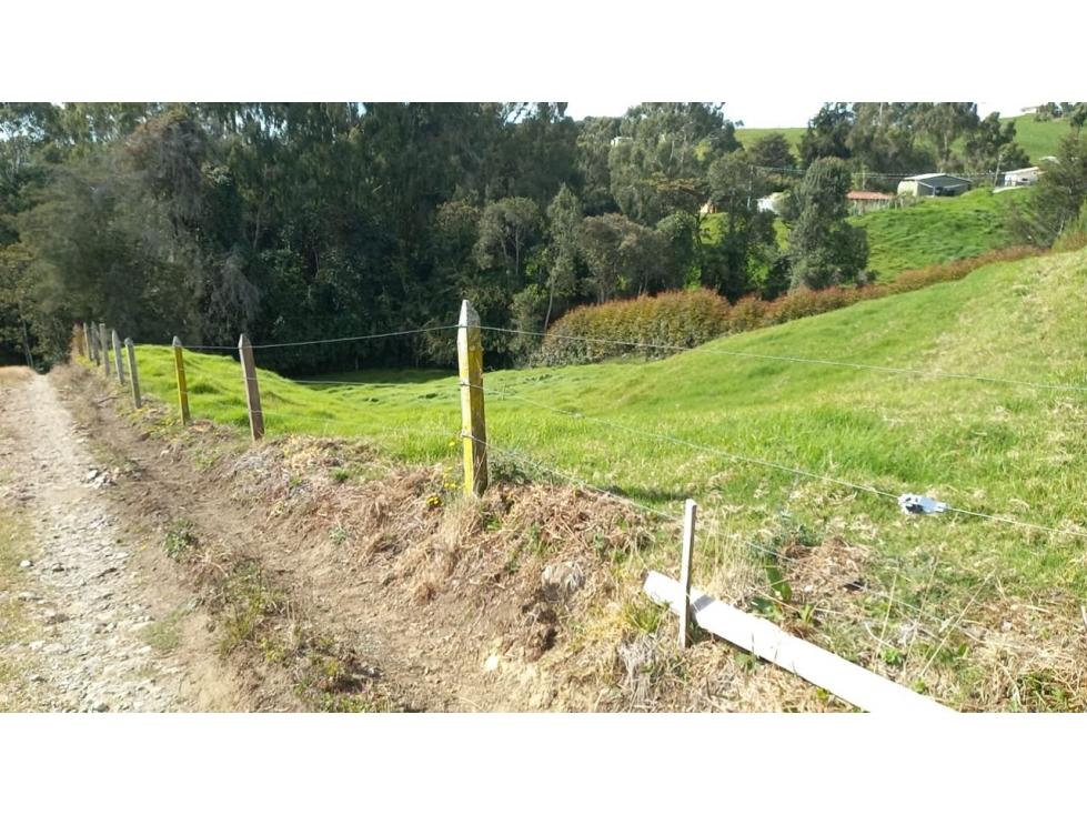 LOTE SAN PEDRO ECONOMICO VEREDA CEREZAL