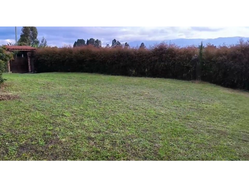 Lote San Pedro Pantanillo