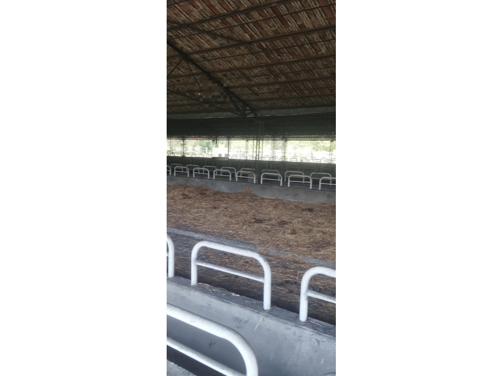 LOTE SANTA TERESITA - 6