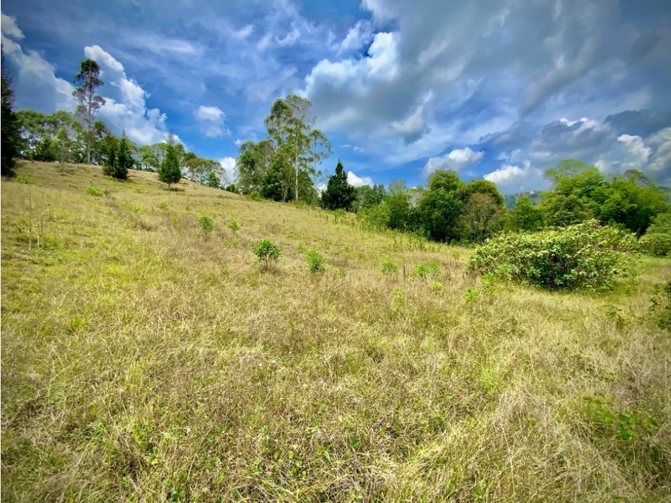 Venta Hermoso Lote bonita Vista Quebrada Sector Aeropuerto — foto 4