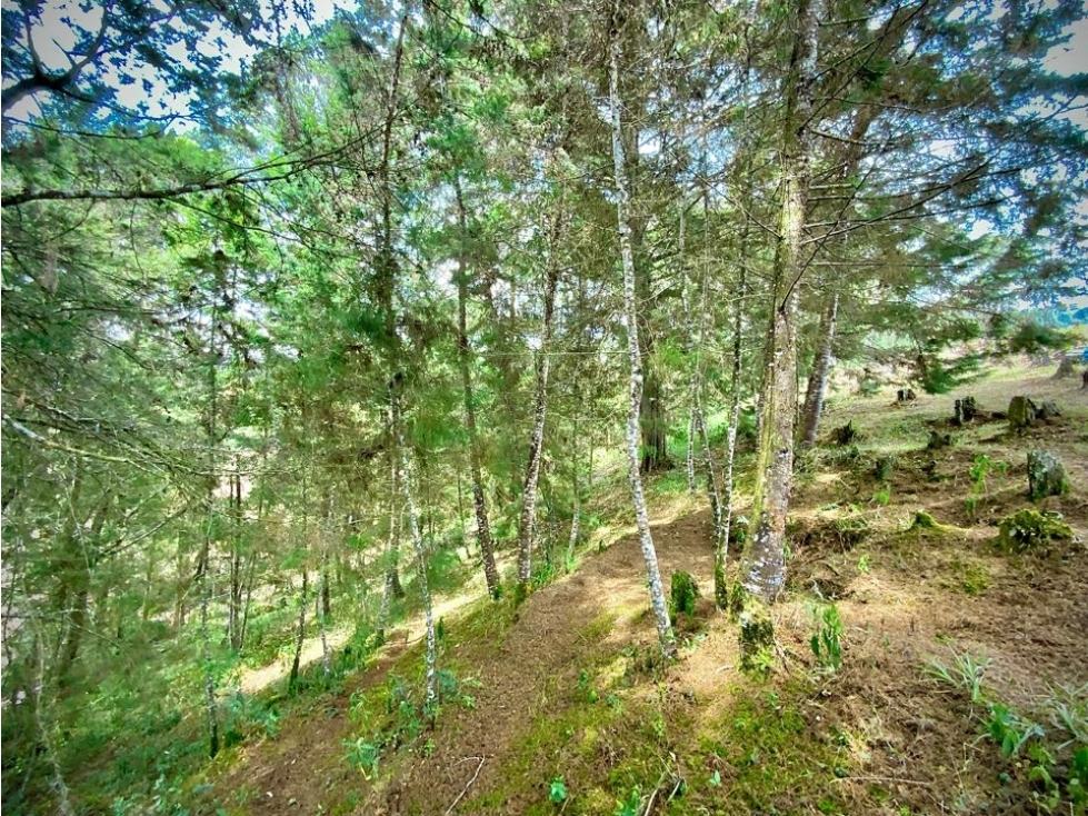 Venta Hermoso Lote bonita Vista Quebrada Sector Aeropuerto — foto 5