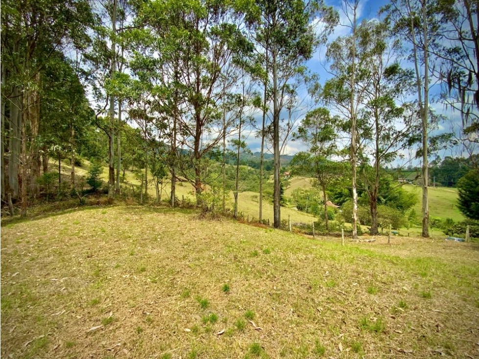 Venta Hermoso Lote bonita Vista Quebrada Sector Aeropuerto — foto 3