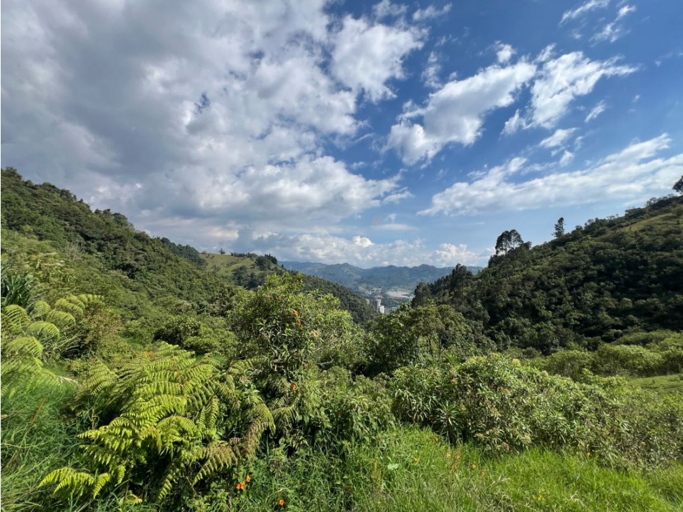 Lote sector Cerro de Oro Manizales — foto 3