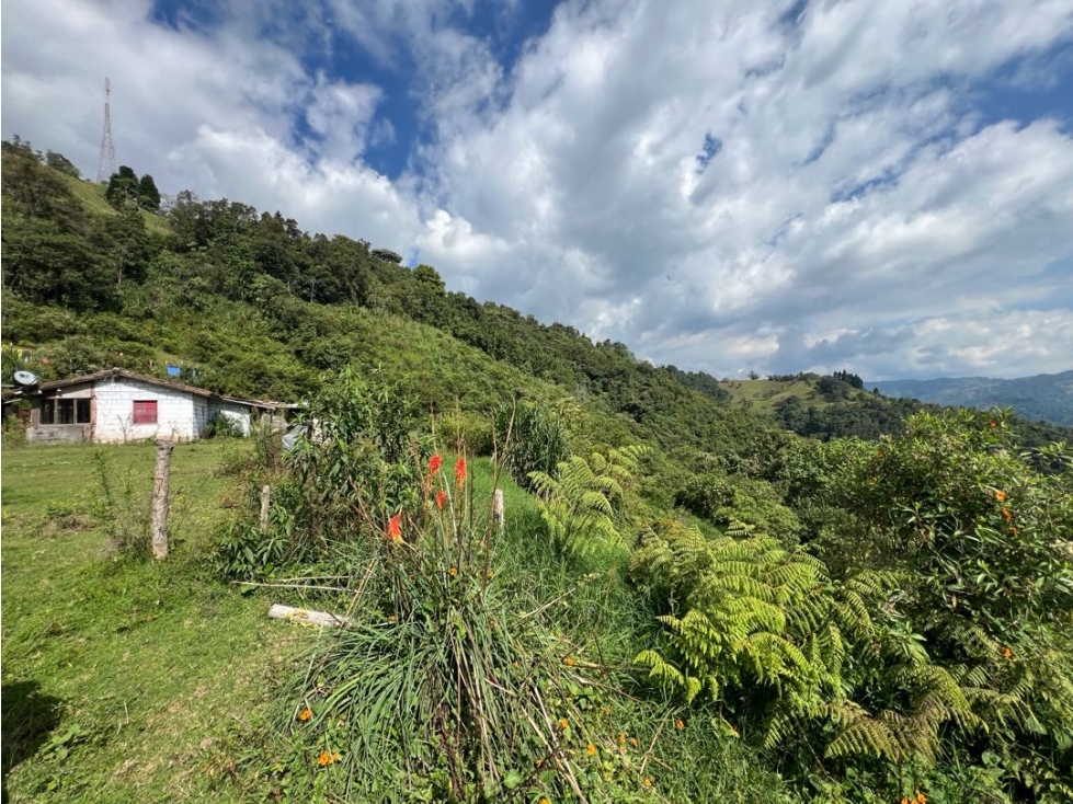 Lote sector Cerro de Oro Manizales — foto 4
