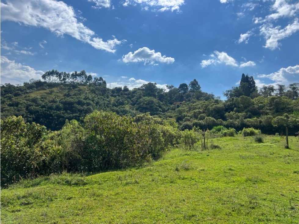 Lote sector Cerro de Oro Manizales — foto 5