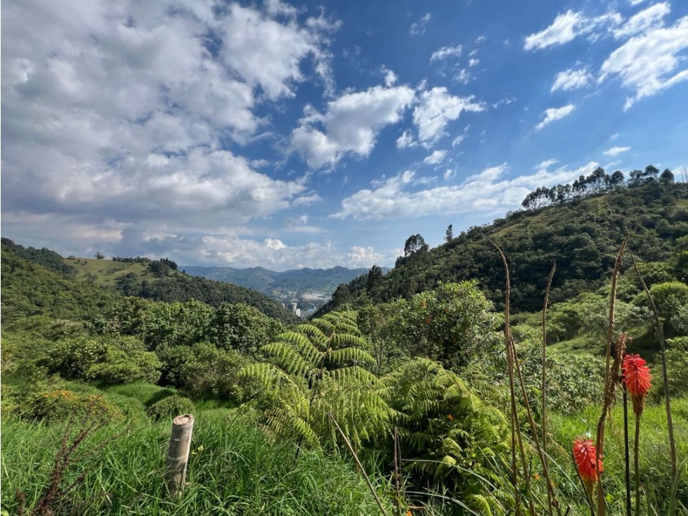 Lote sector Cerro de Oro Manizales — foto 6