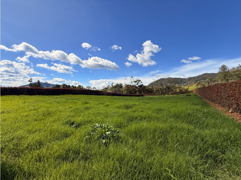 Lote sector El Yarumo