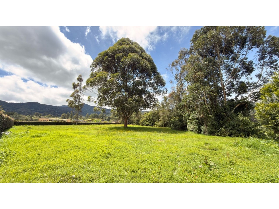 Lote Sector El Yarumo