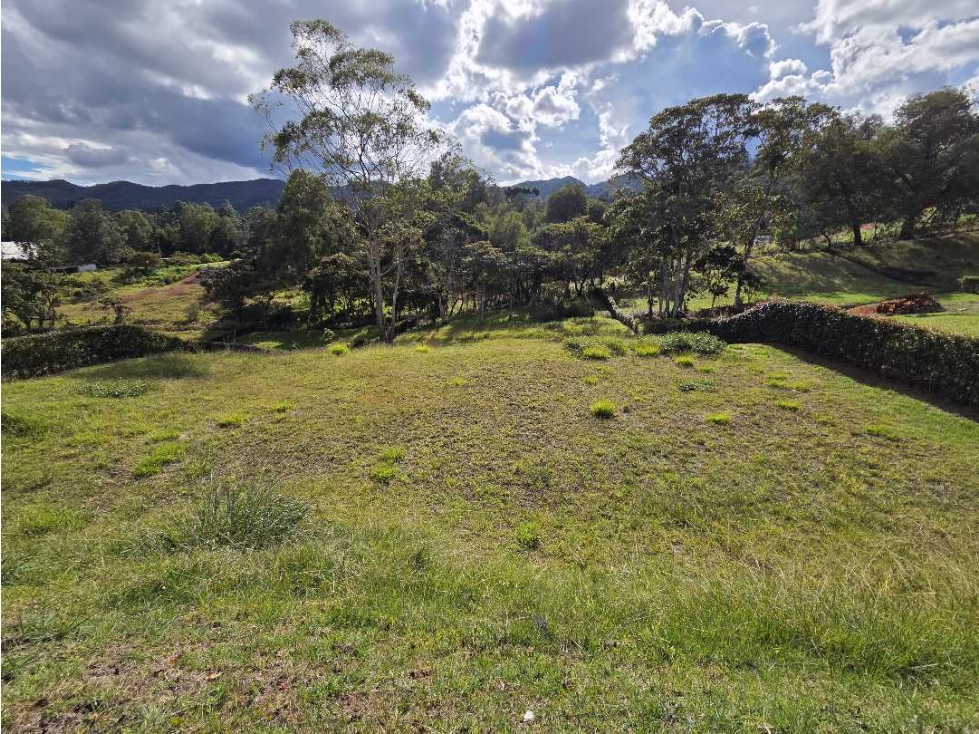 LOTE SECTOR FIZEBAD