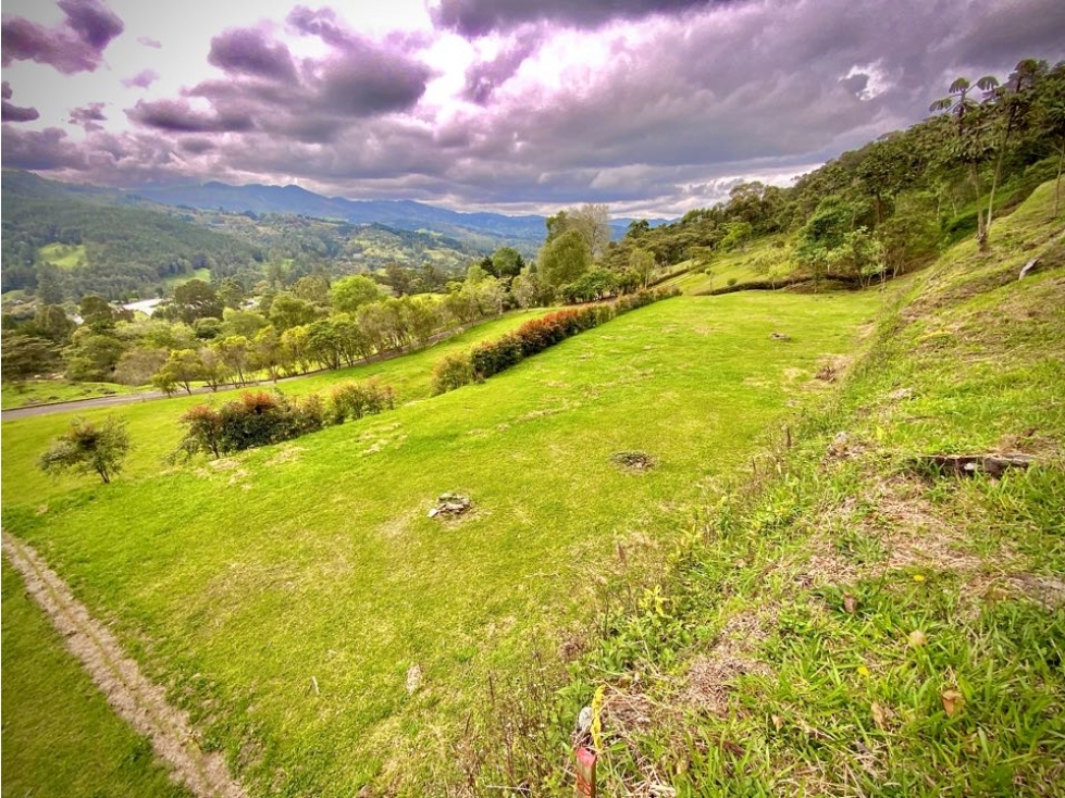 Venta Lote Exotica Vista Semi Parcelación Llanogrande