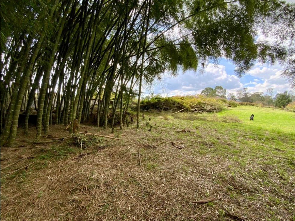 Lote Semiparcelacion Llanogrande