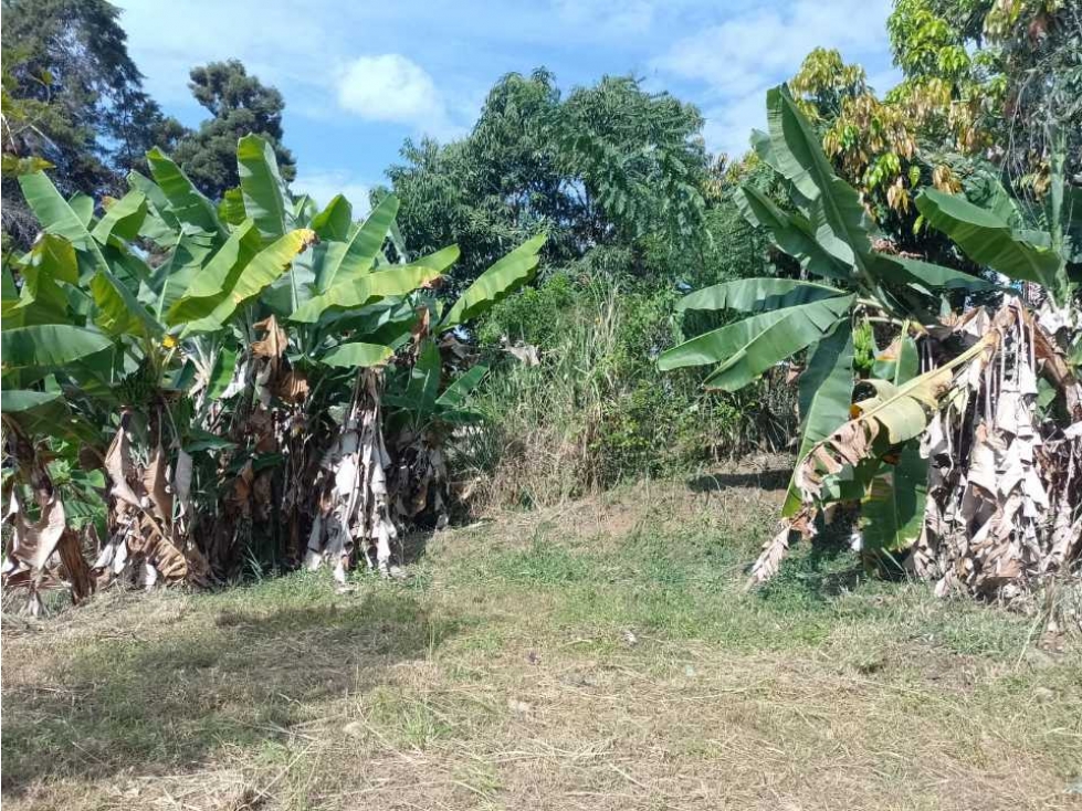 Lote semi urbano en venta en La Mesa Cundinamarca - 5