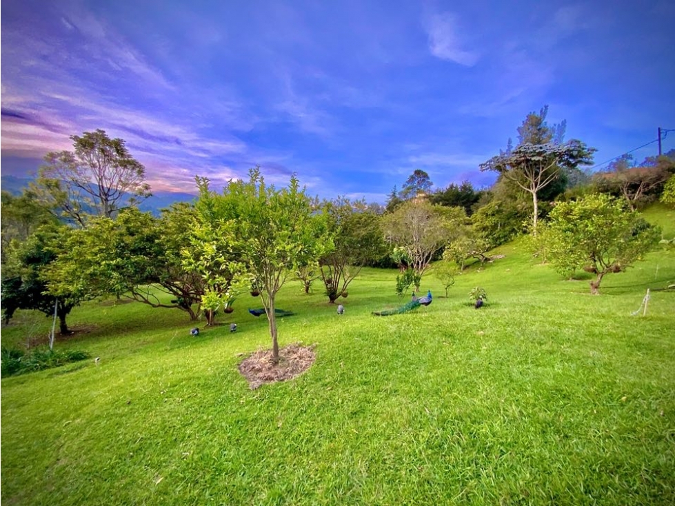 Lote con lago Variante Aeropuerto Rionegro