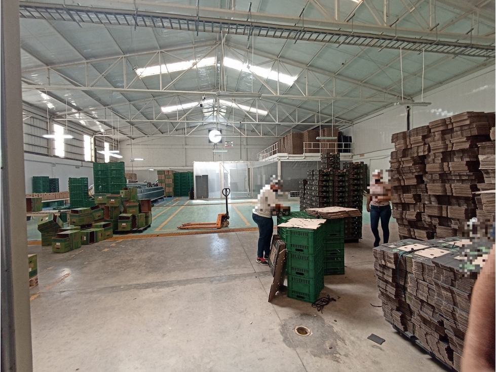 LOTE SIN DIRECCION VEREDA SAN LUIS - 3