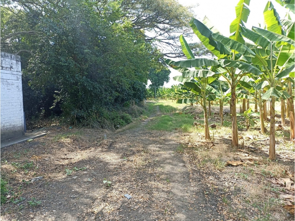 LOTE SIN DIRECCION VEREDA SAN LUIS - 4