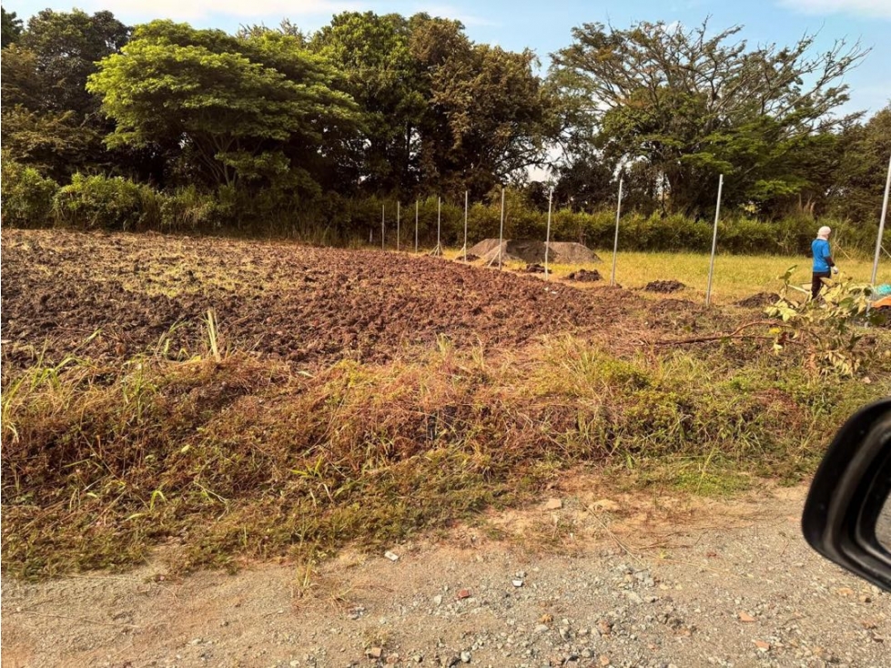 Lote terreno de 1.250m2 en parcelación en venta Ginebra Valle Colombia - 3