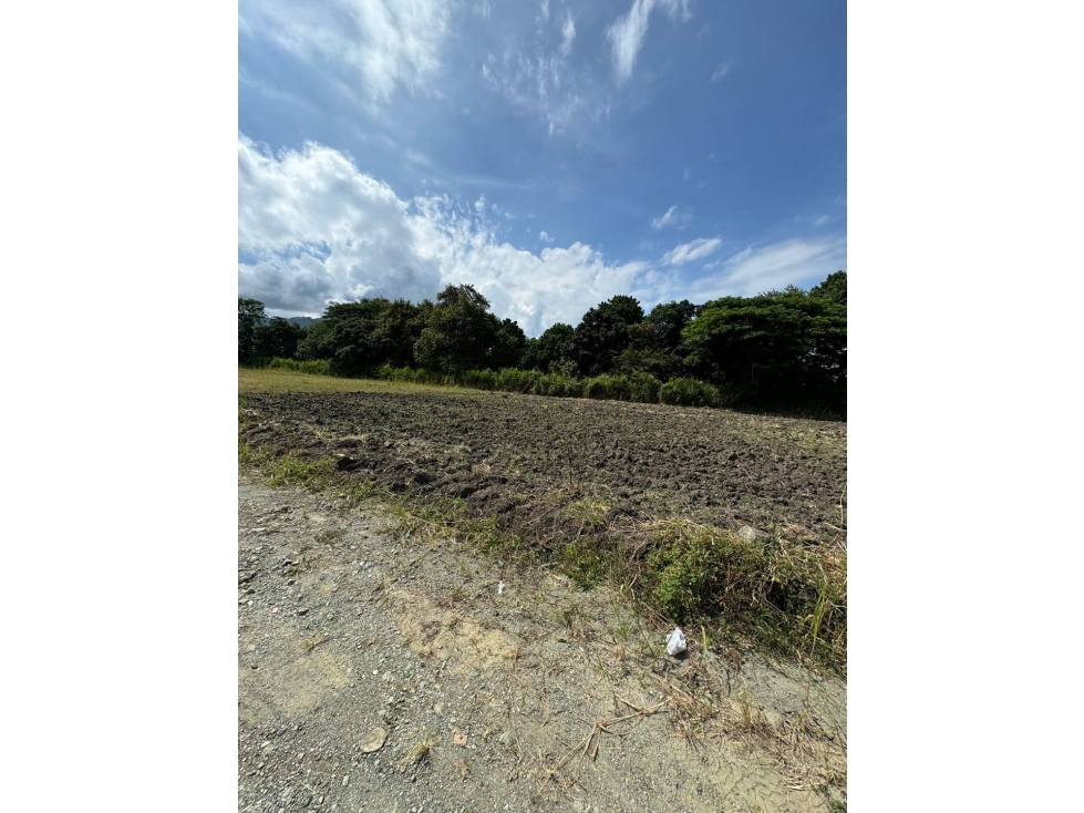 Lote terreno de 1.250m2 en parcelación en venta Ginebra Valle Colombia - 2