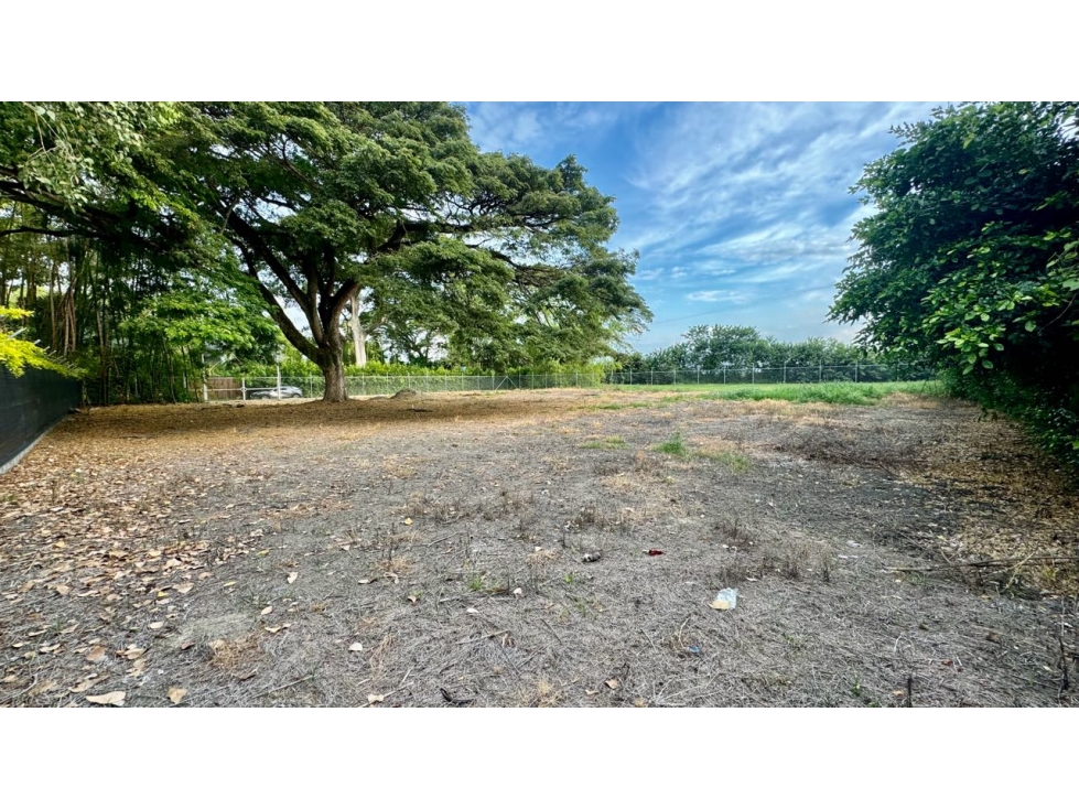 Lote terreno de 1.980m2 en venta Rozo Palmira Valle del Cauca Colombia - 1