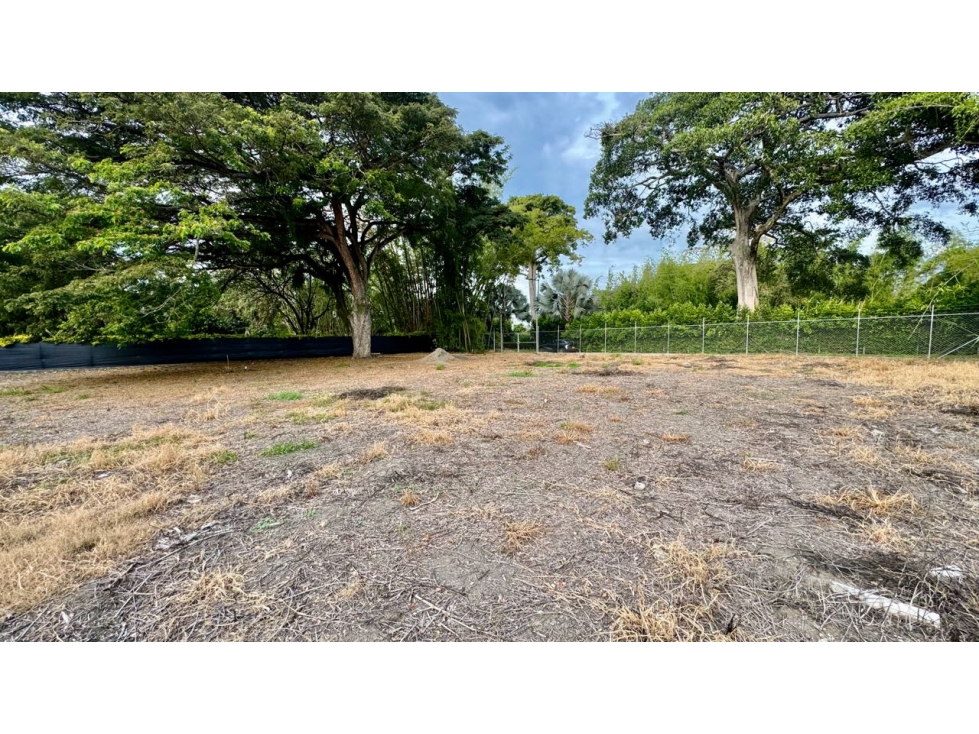 Lote terreno de 1.980m2 en venta Rozo Palmira Valle del Cauca Colombia - 2