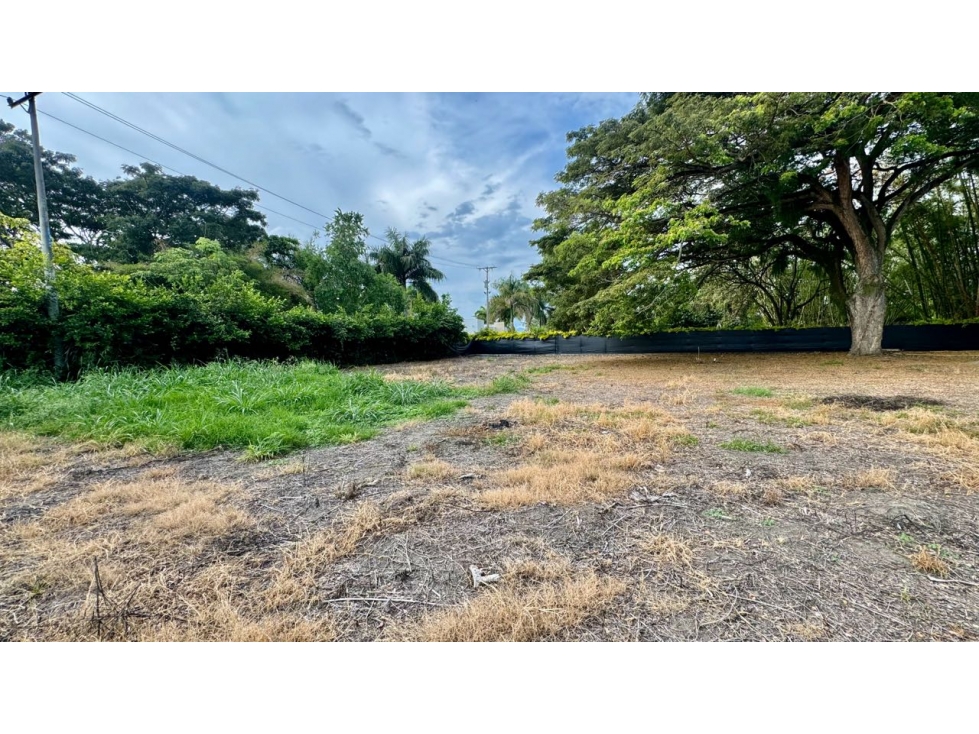 Lote terreno de 1.980m2 en venta Rozo Palmira Valle del Cauca Colombia - 3