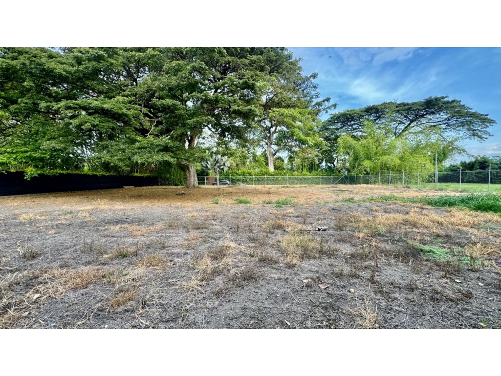 Lote terreno de 1.980m2 en venta Rozo Palmira Valle del Cauca Colombia - 4