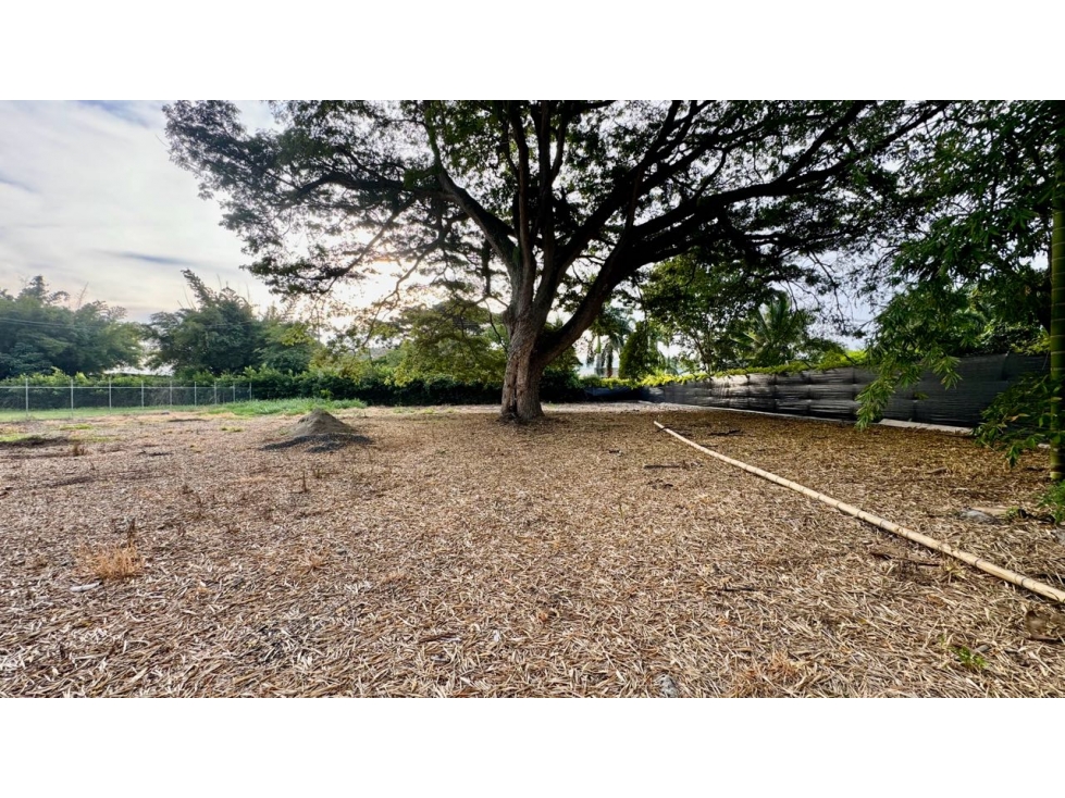 Lote terreno de 1.980m2 en venta Rozo Palmira Valle del Cauca Colombia - 5