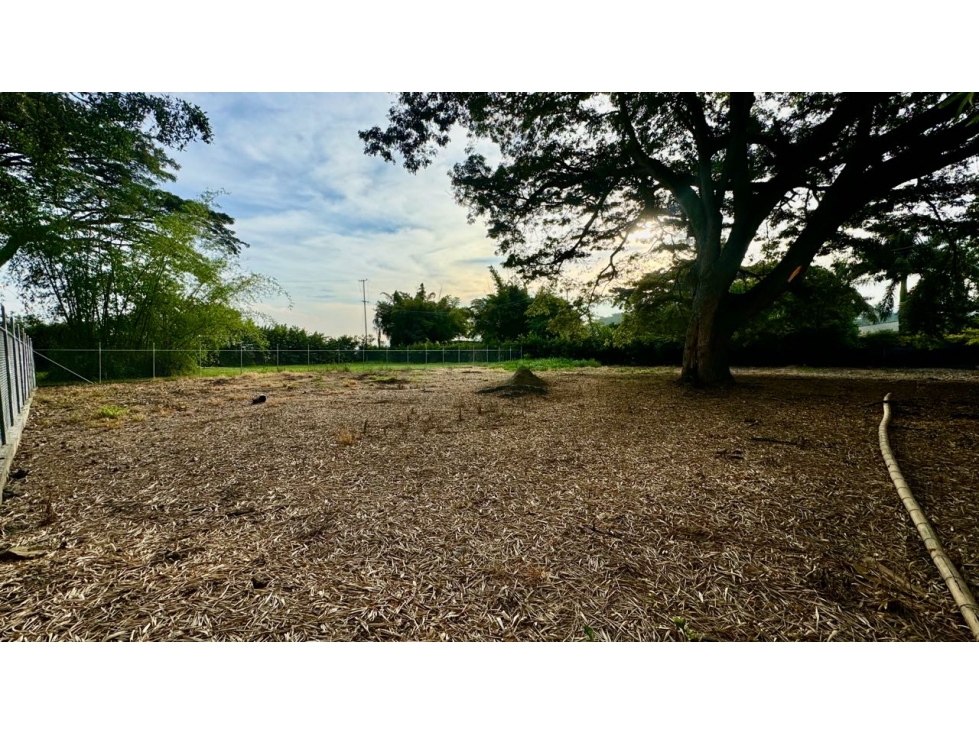 Lote terreno de 1.980m2 en venta Rozo Palmira Valle del Cauca Colombia - 6
