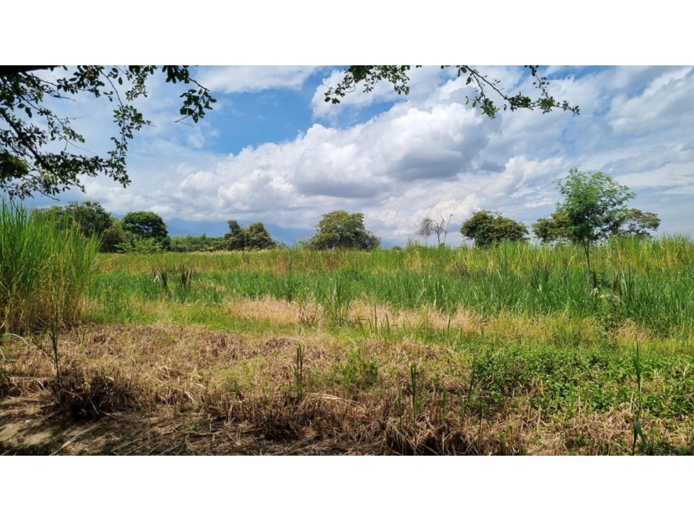 Lote terreno de 6.044m2 en venta Santa Elena El Cerrito Valle Colombia - 5