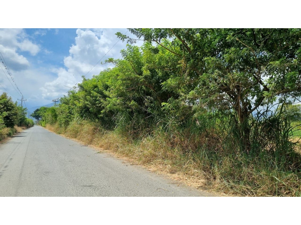 Lote terreno de 6.044m2 en venta Santa Elena El Cerrito Valle Colombia - 3