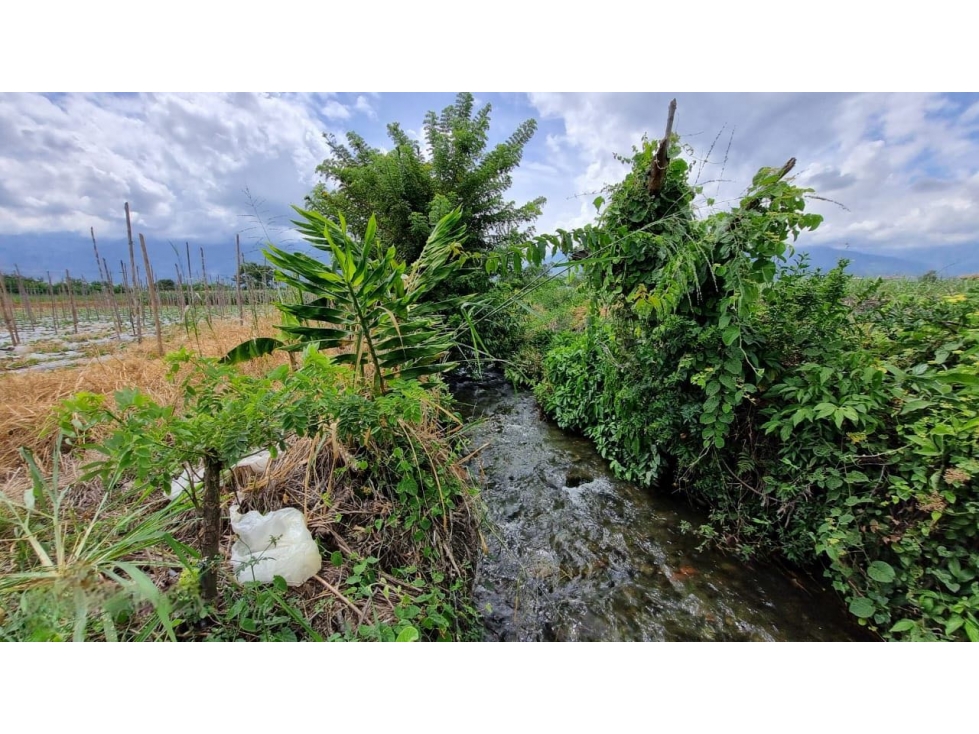 Lote terreno de 6.044m2 en venta Santa Elena El Cerrito Valle Colombia - 4
