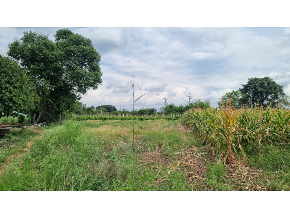 Lote terreno de 6.044m2 en venta Santa Elena El Cerrito Valle Colombia - 6