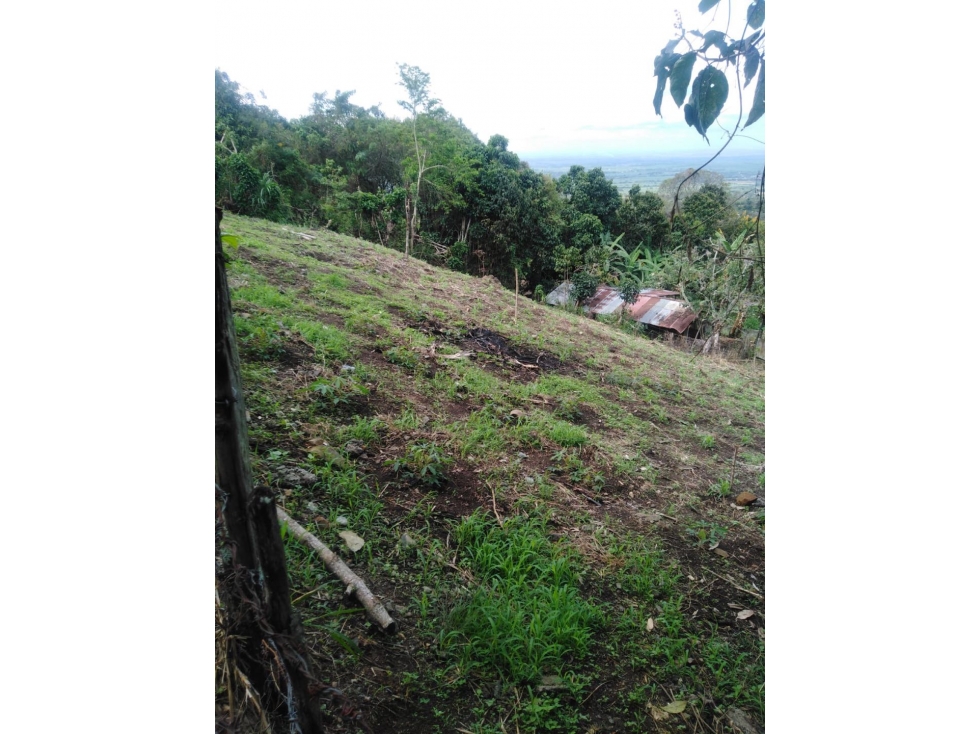 Lote / terreno de 950m2 en venta Santa Elena El Cerrito Valle Colombia - 3
